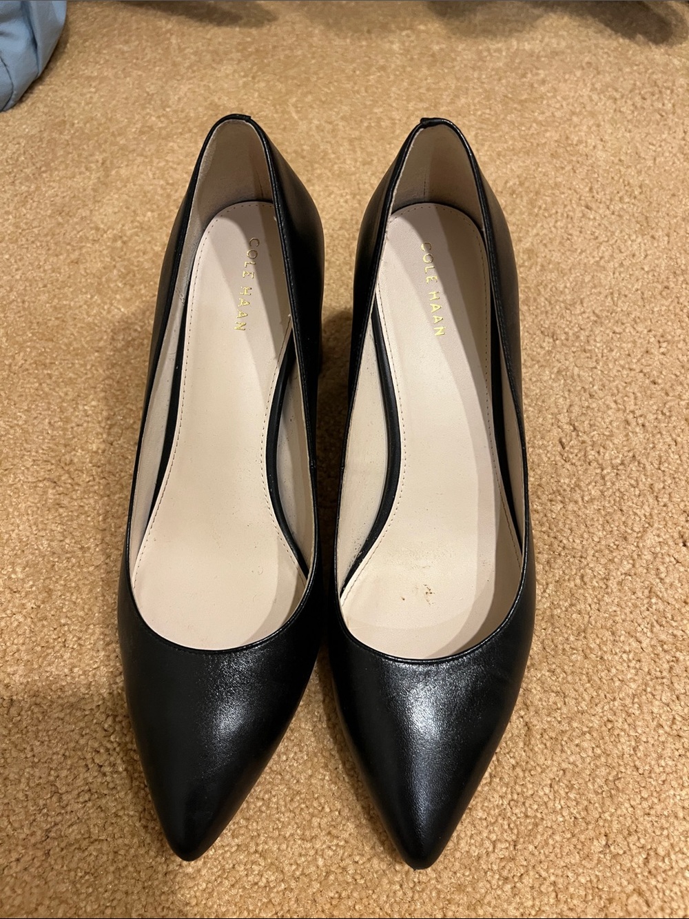 Cole Haan Black Pointed-Toe Leather Heels